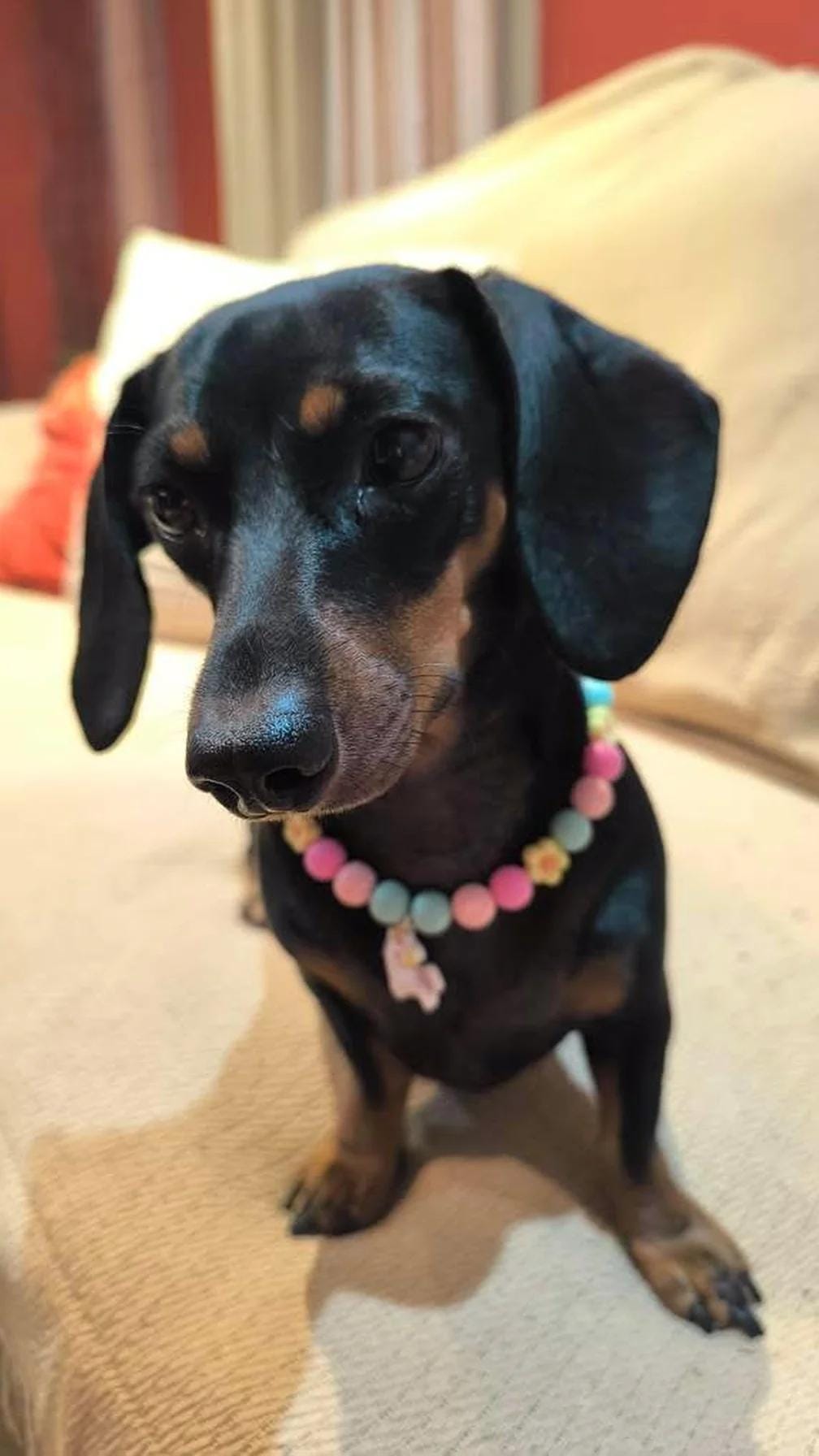 🦄 Collar "Fantasía" 🦄