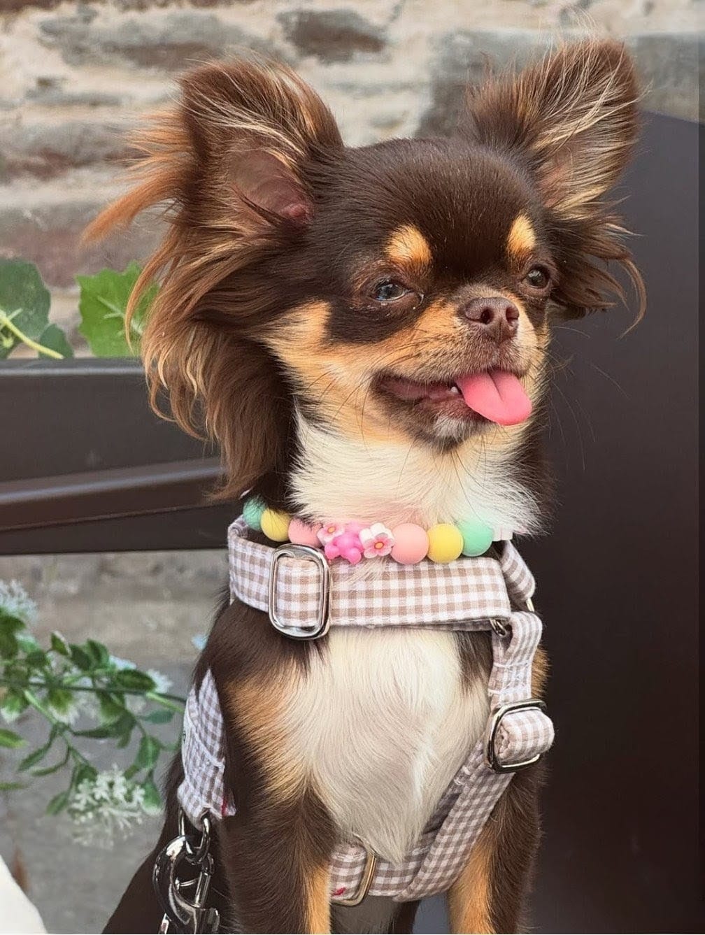 🐻 Collar "Pastel-oso"🐻