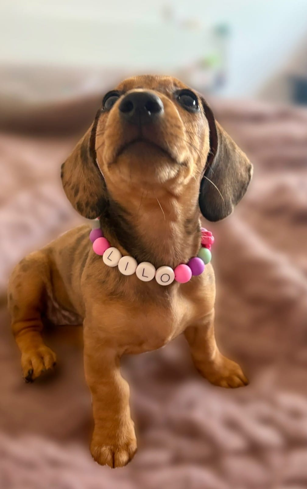 🧸 Collar "Ositos" 🧸
