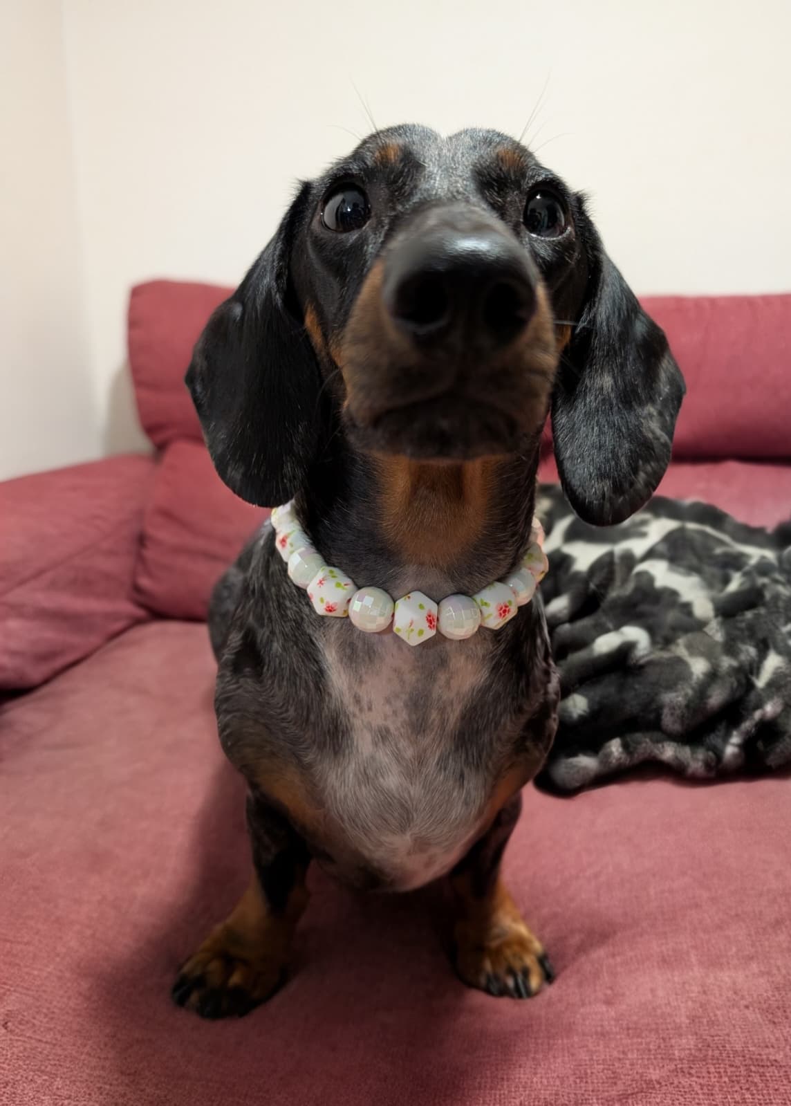 🌸 Collar "Romantic Aura" 🌸